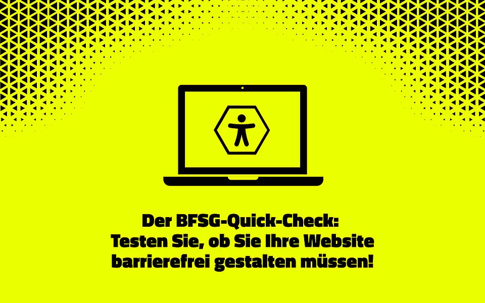 BFSG Quickcheck Website Check